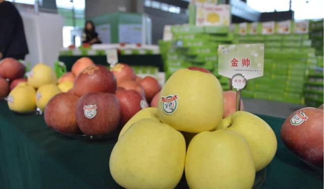追溯宝应邀参加威海市第八届苹果擂台赛,以信息化助推农业品牌建设(图3) 追溯宝应邀参加威海市第八届苹果擂台赛,以信息化助推农业品牌建设(图3)