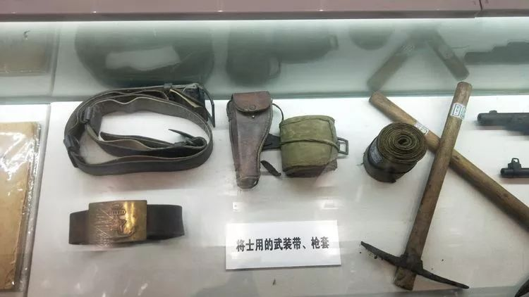 农产品贴上“身份证” ——临港区食用农产品合格证制度正式施行(图2) 农产品贴上“身份证” ——临港区食用农产品合格证制度正式施行(图2)