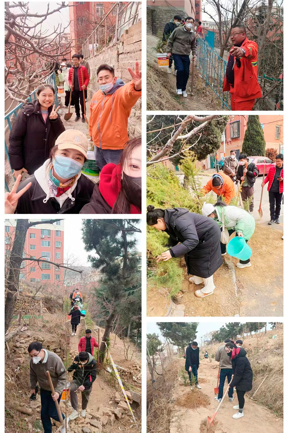 k8.com喊你来植树：种下希望，积攒绿意，收获绿色河山！(图1)