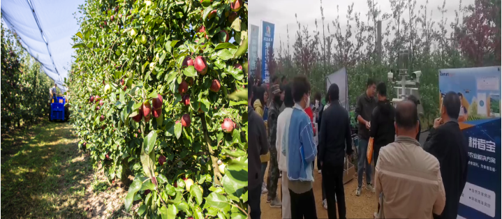 k8.com受邀参加全国首届苹果生产投入品现场观摩会(图1)